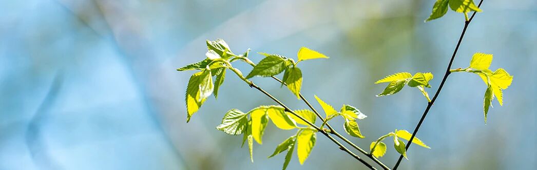 1774784656073.jpg 微信图片_2026-03-29_200931_344.jpg